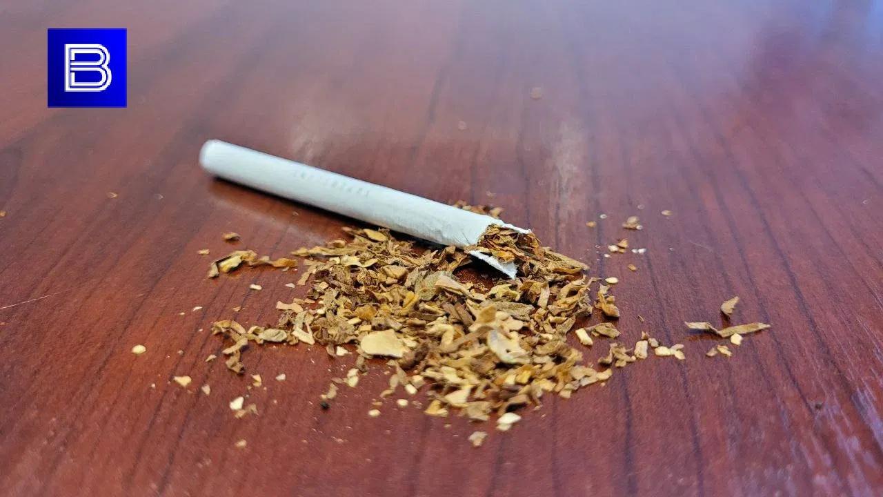 Врач из Мурманска объяснил, в чем заключается вред курения для подростков