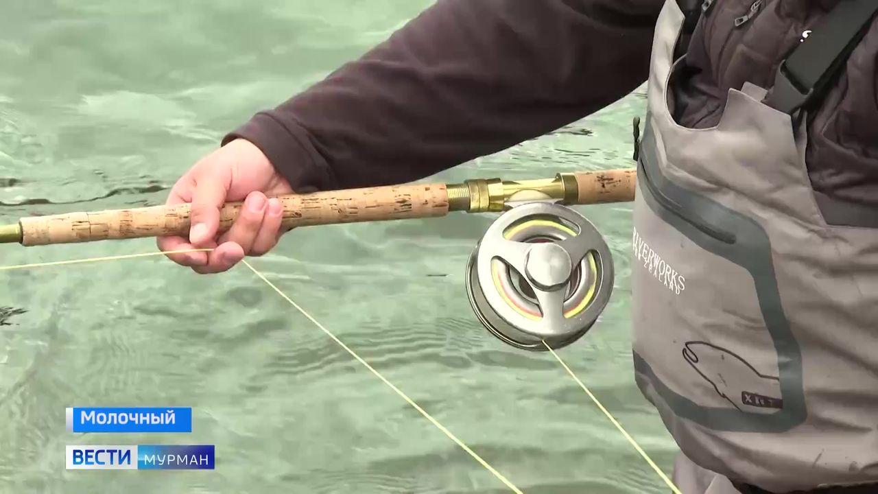 Первый улов – почти метровая семга: в Кольском Заполярье стартовал сезон любительской рыбалки 
