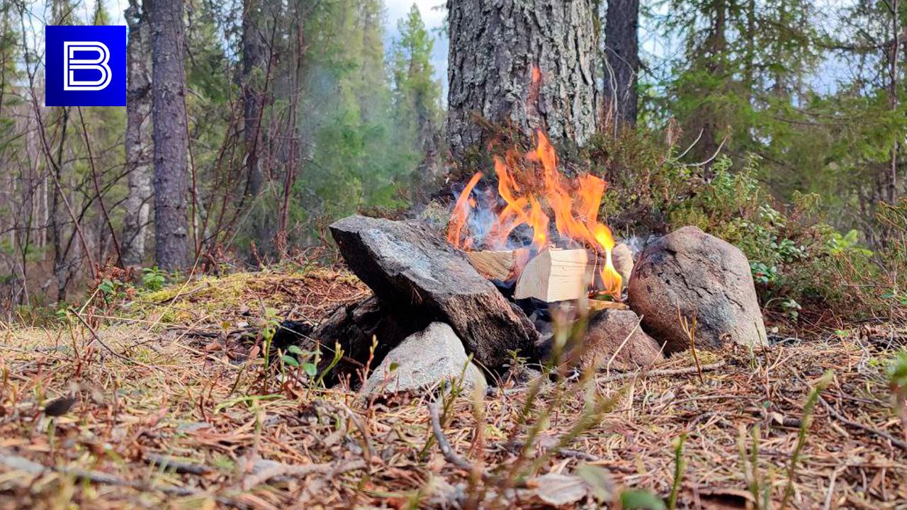 Пожароопасный сезон в Мурманской области продлится до 15 сентября