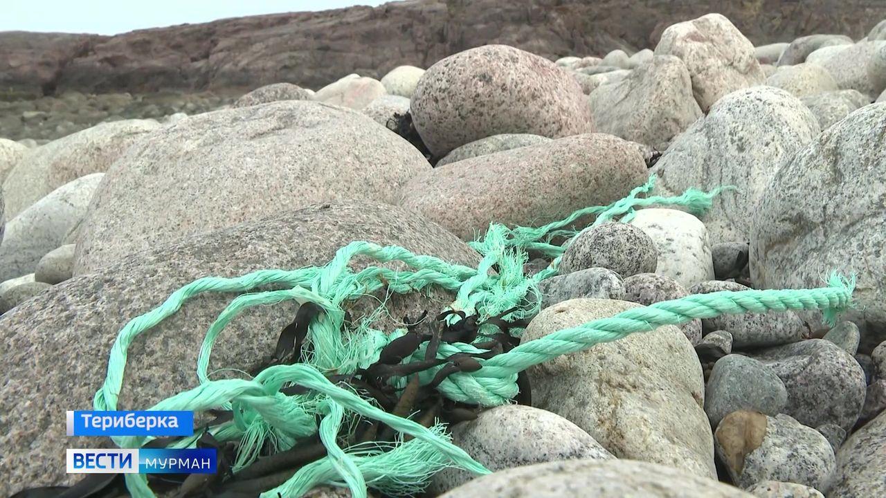 Чистая Арктика: волонтеры собрали рекордное количество мусора в Териберке 