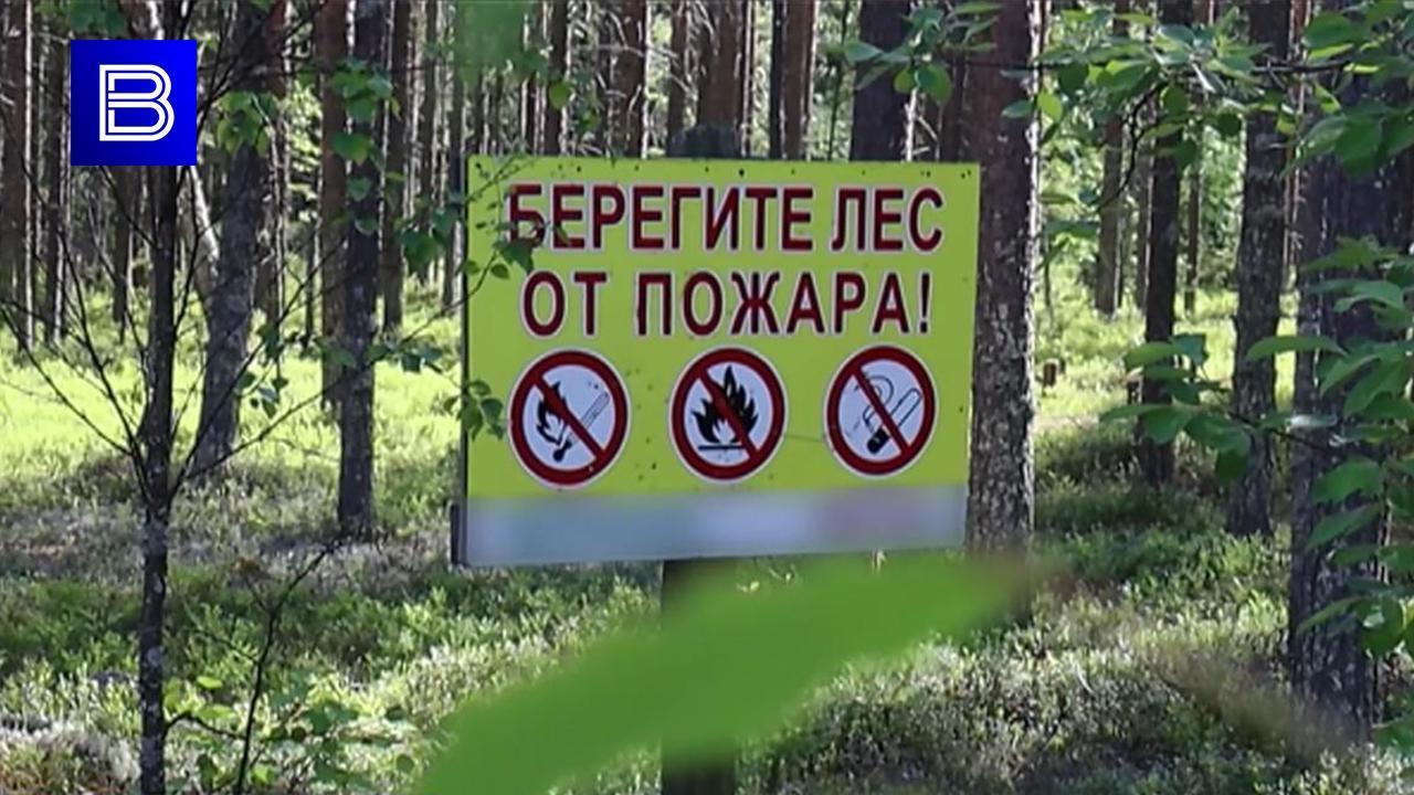 На западе Ловозерского района объявлена пожарная опасность