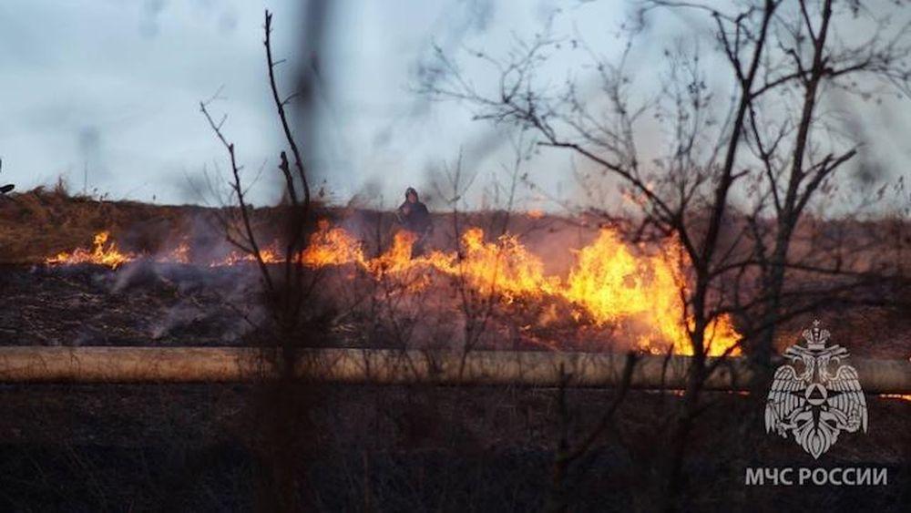 В лесах Мурманской области 12 северян нарушили правила пожарной безопасности 