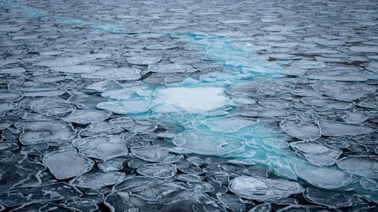 В проливах арктических морей началось образование льда