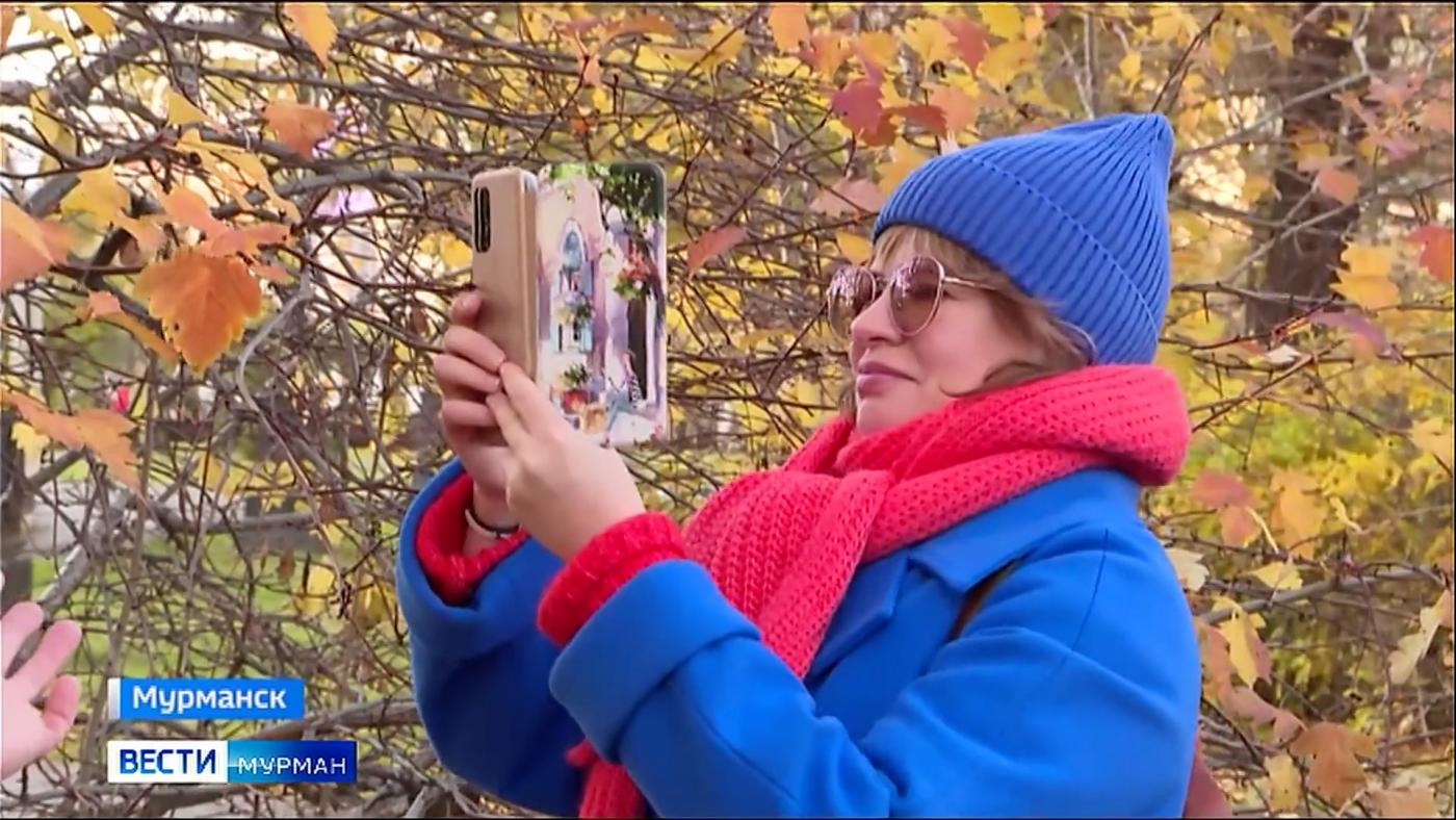 В Мурманской областной научной библиотеке открылся X сезон лектория "Край, в котором я живу"