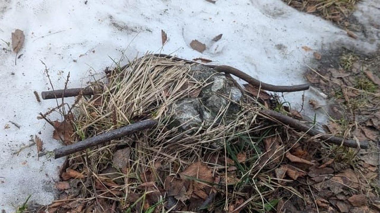 На детской площадке в Мурманске демонтировали опасную арматуру