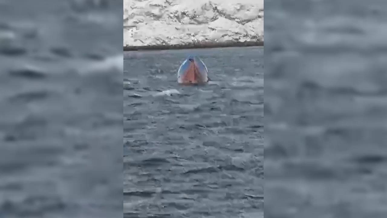 Северо-Западная транспортная прокуратура организовала проверку по факту опрокидывания судна в районе Териберки