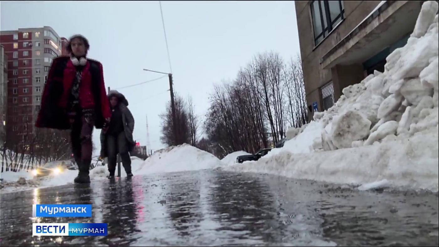 Аномальное потепление пришло в Мурманскую область