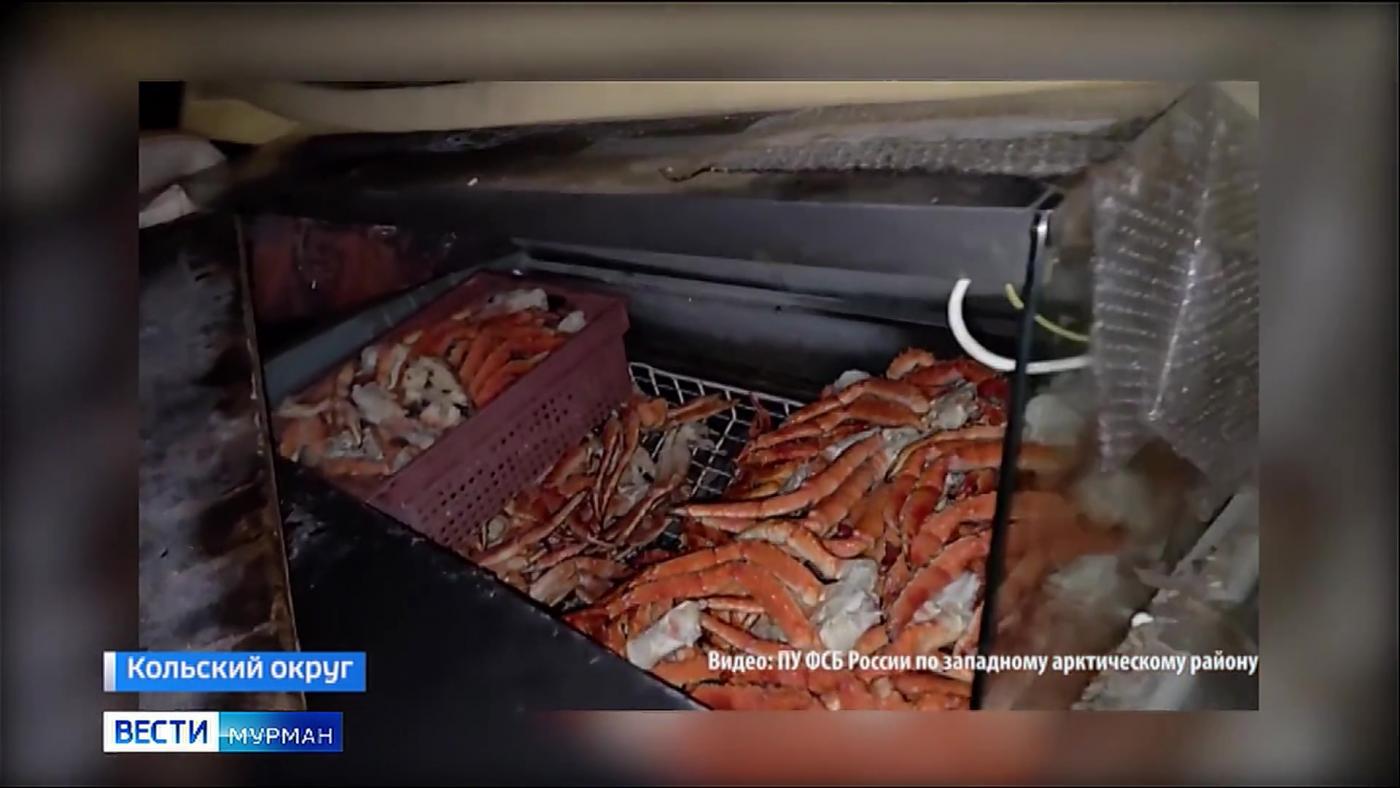 Сотрудники Погрануправления ФСБ России изъяли 297 кг краба из кустарного цеха в Ура-Губе