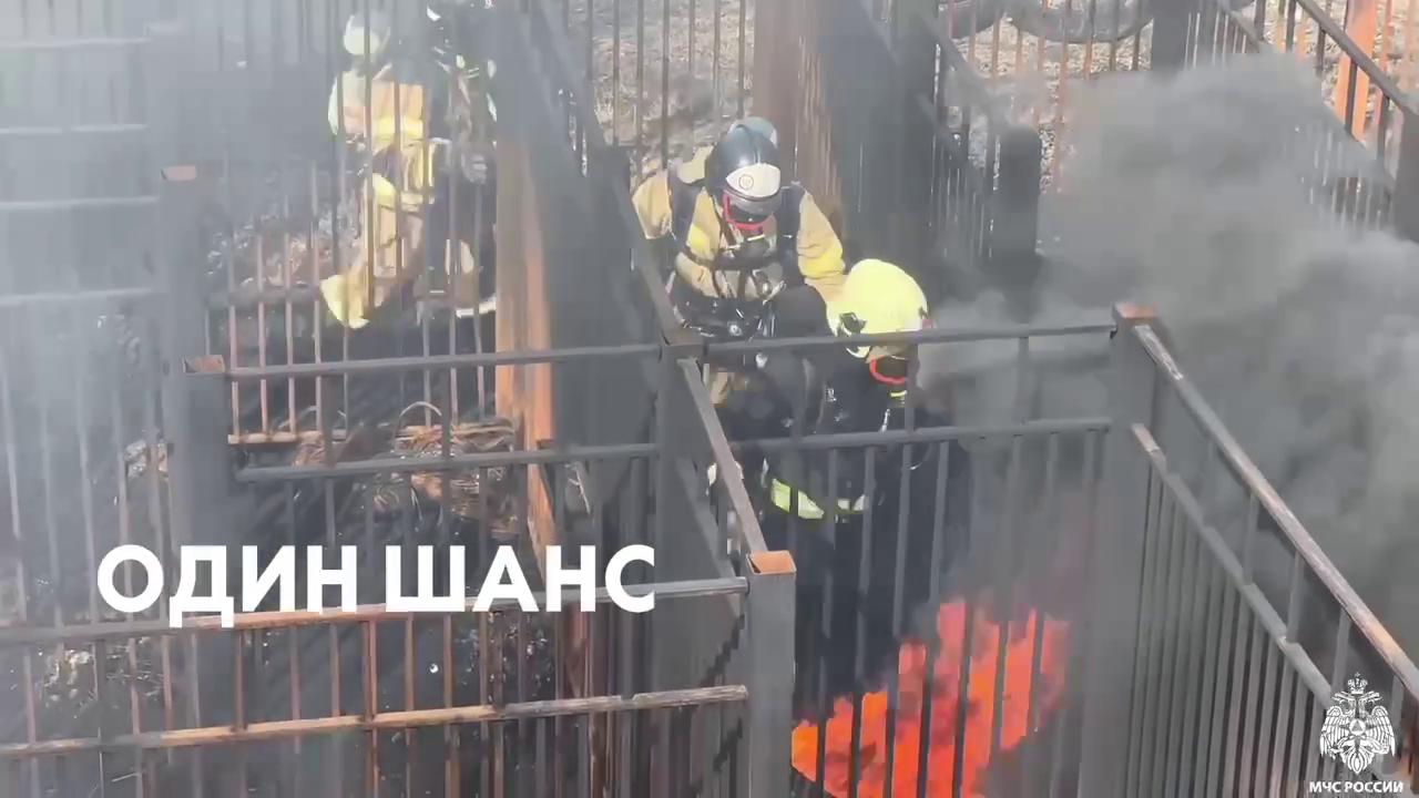 МЧС России отмечает 1 мая День основания газодымозащитной службы