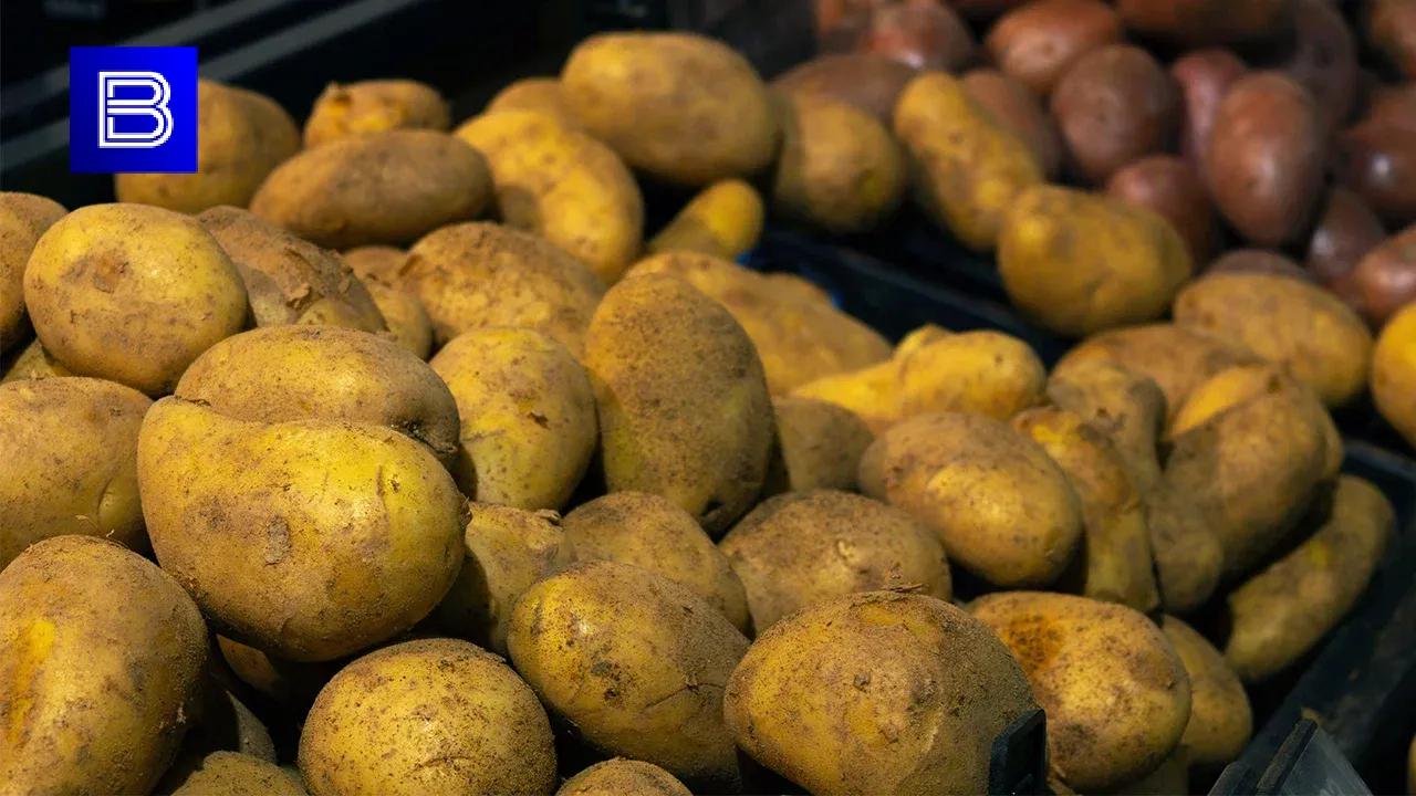 В Мурманской области подешевели яйца, картофель и морковь