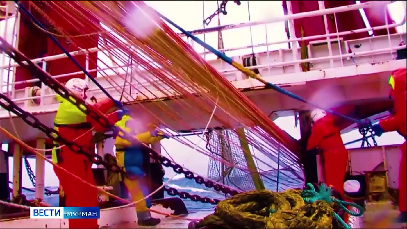 Рыбаки Северного бассейна с начала 2025 года выловили 126 тонн водных биоресурсов
