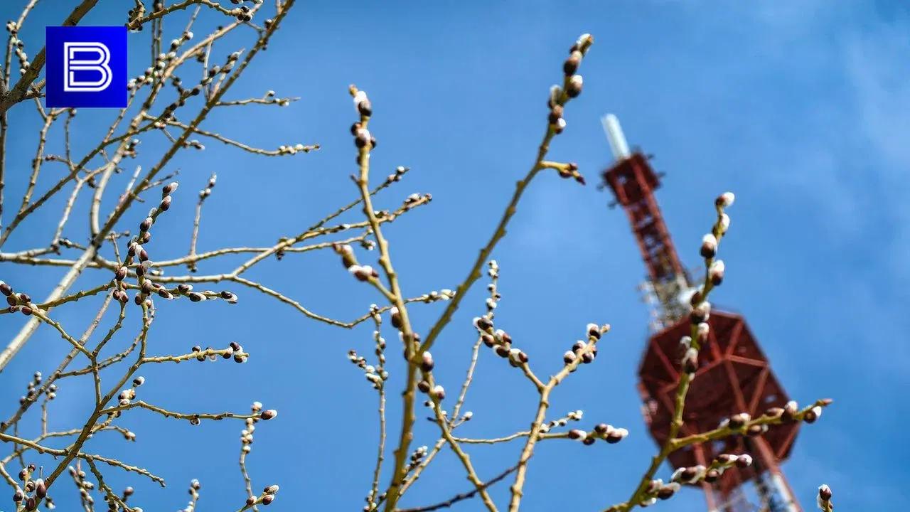 Прогноз погоды по Мурманской области на 16 мая
