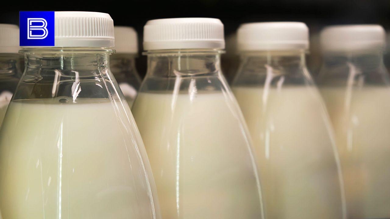 Более 800 кг молочных продуктов изъяли в Мурманской области с начала 2025 года