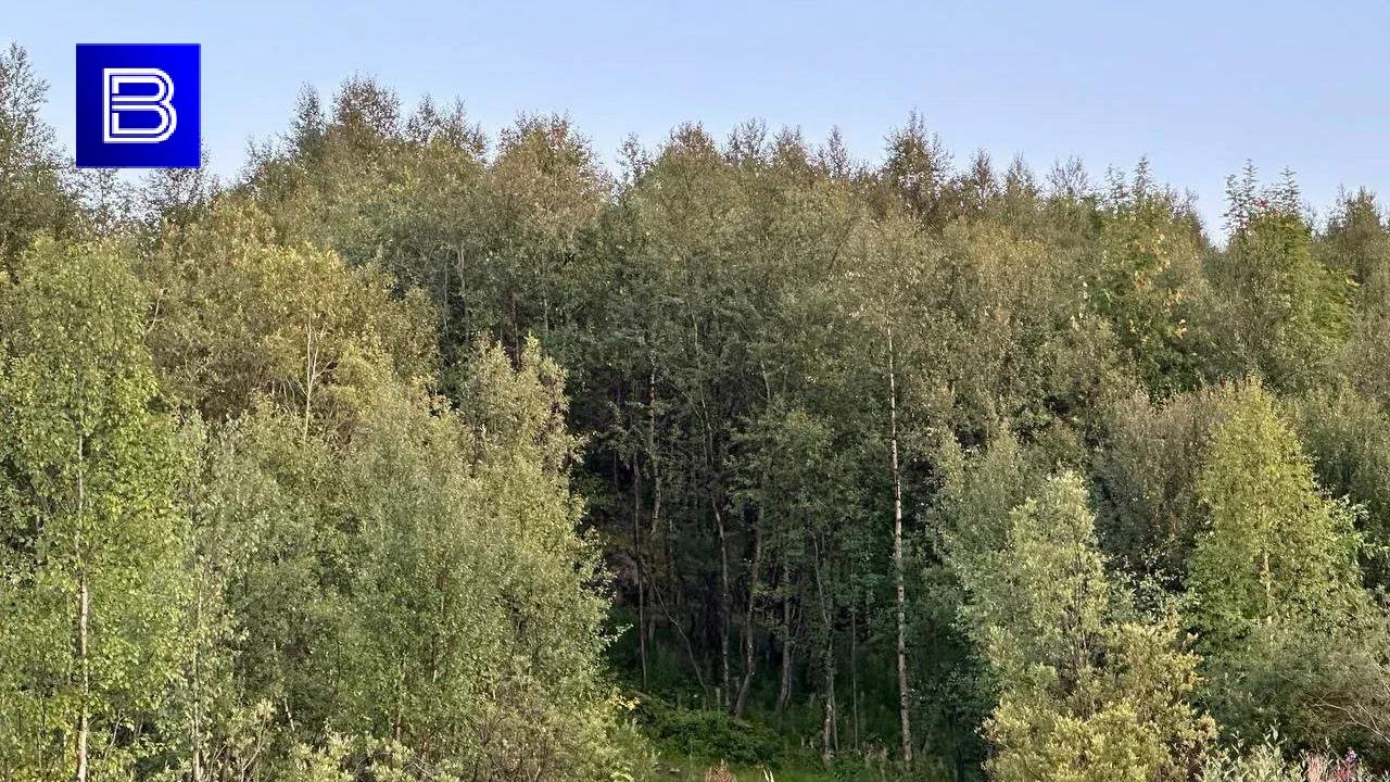 Что делать при атаке беспилотников, рассказали в министерстве регбезопасности 
