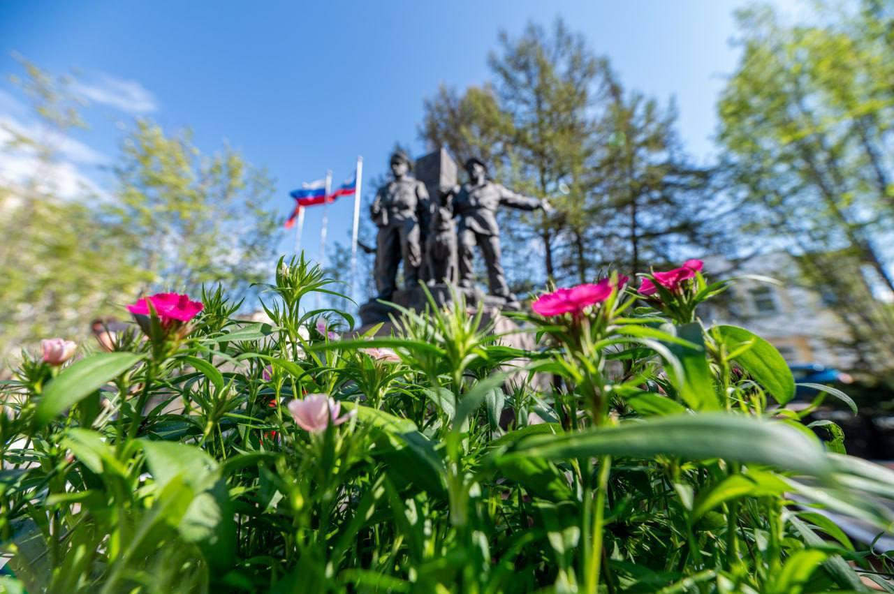 Мурманские скверы украсили новые цветы 