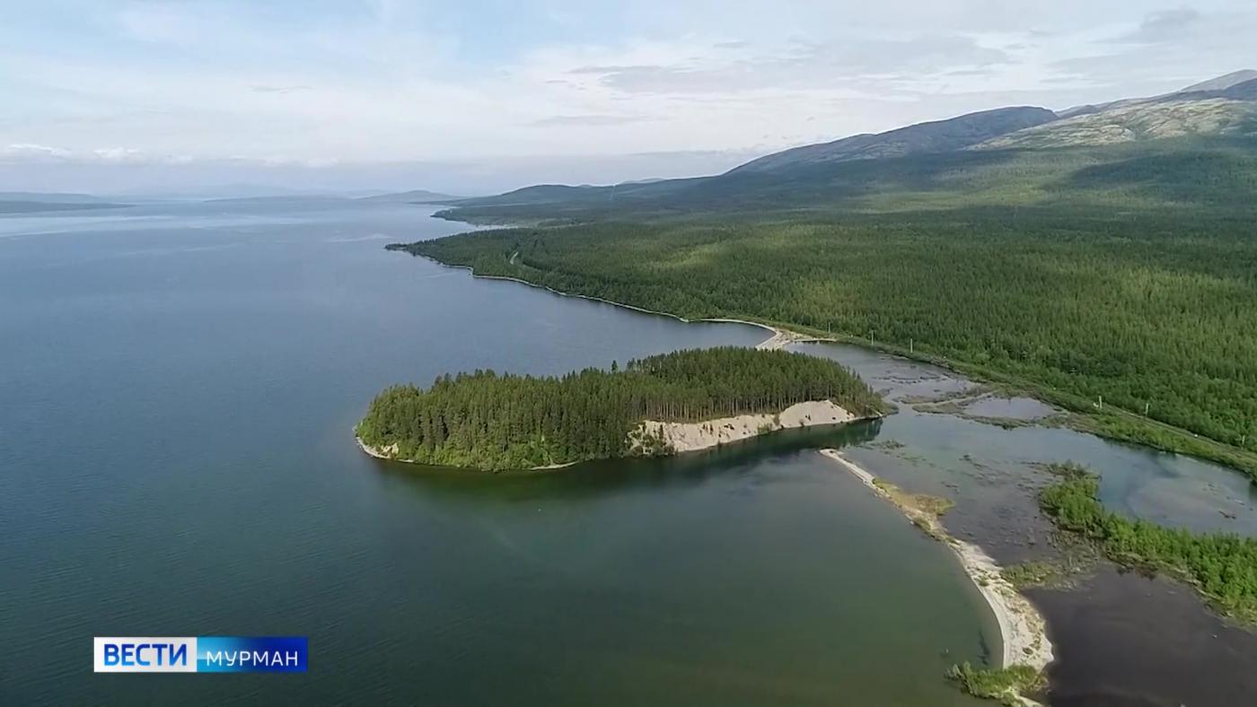 Экологи России отмечают профессиональный праздник 5 июня