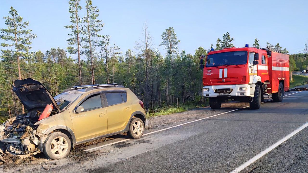 На трассе &quot;Кола&quot; легковые автомобили столкнулись с лосем