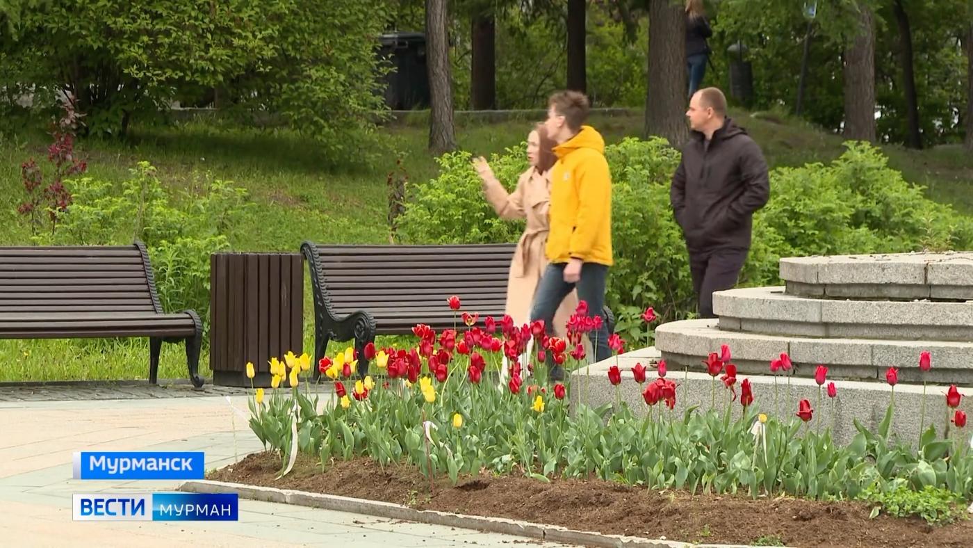 Новые дорожные знаки и места для фотосессий появились в Мурманске