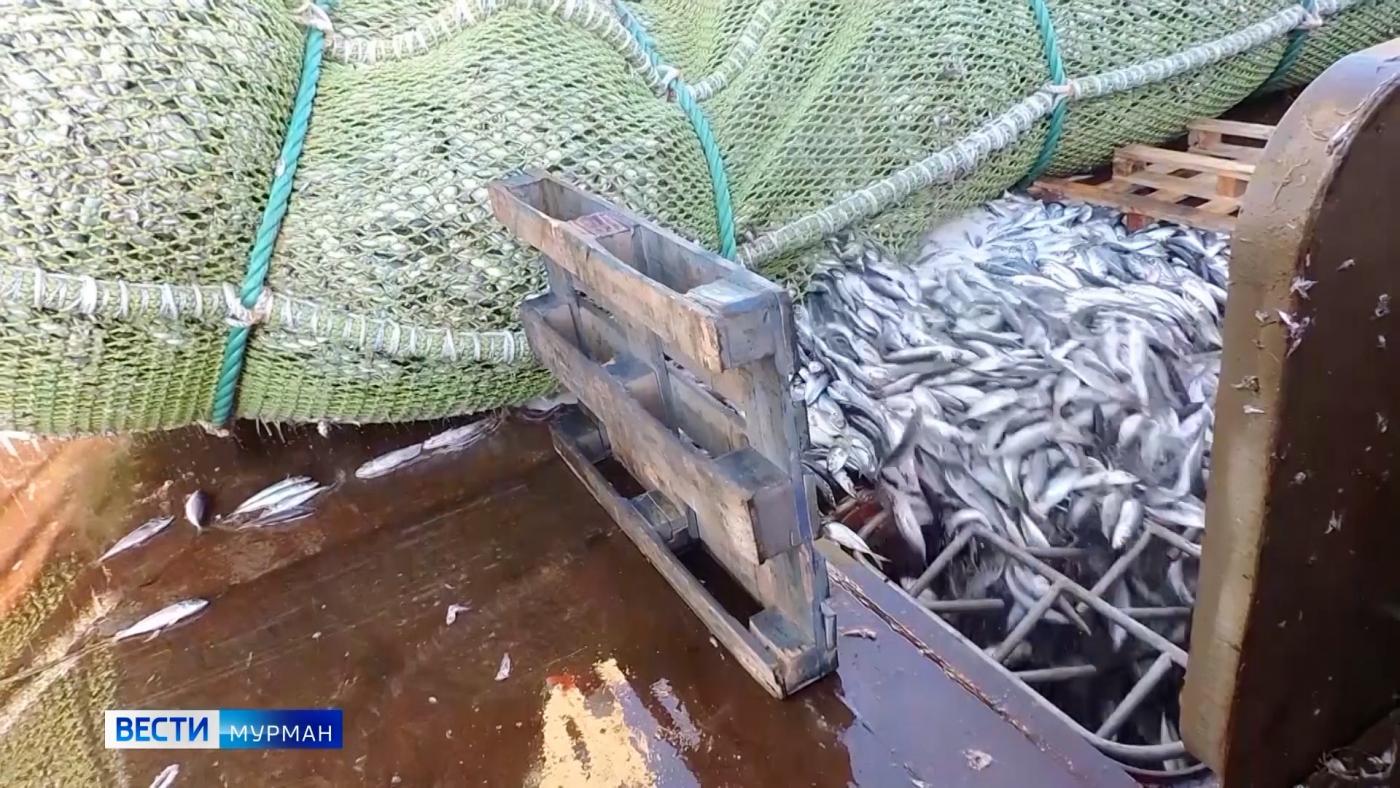Рыбаки Севера обсудили насущные проблемы и задачи отрасли накануне профессионального праздника