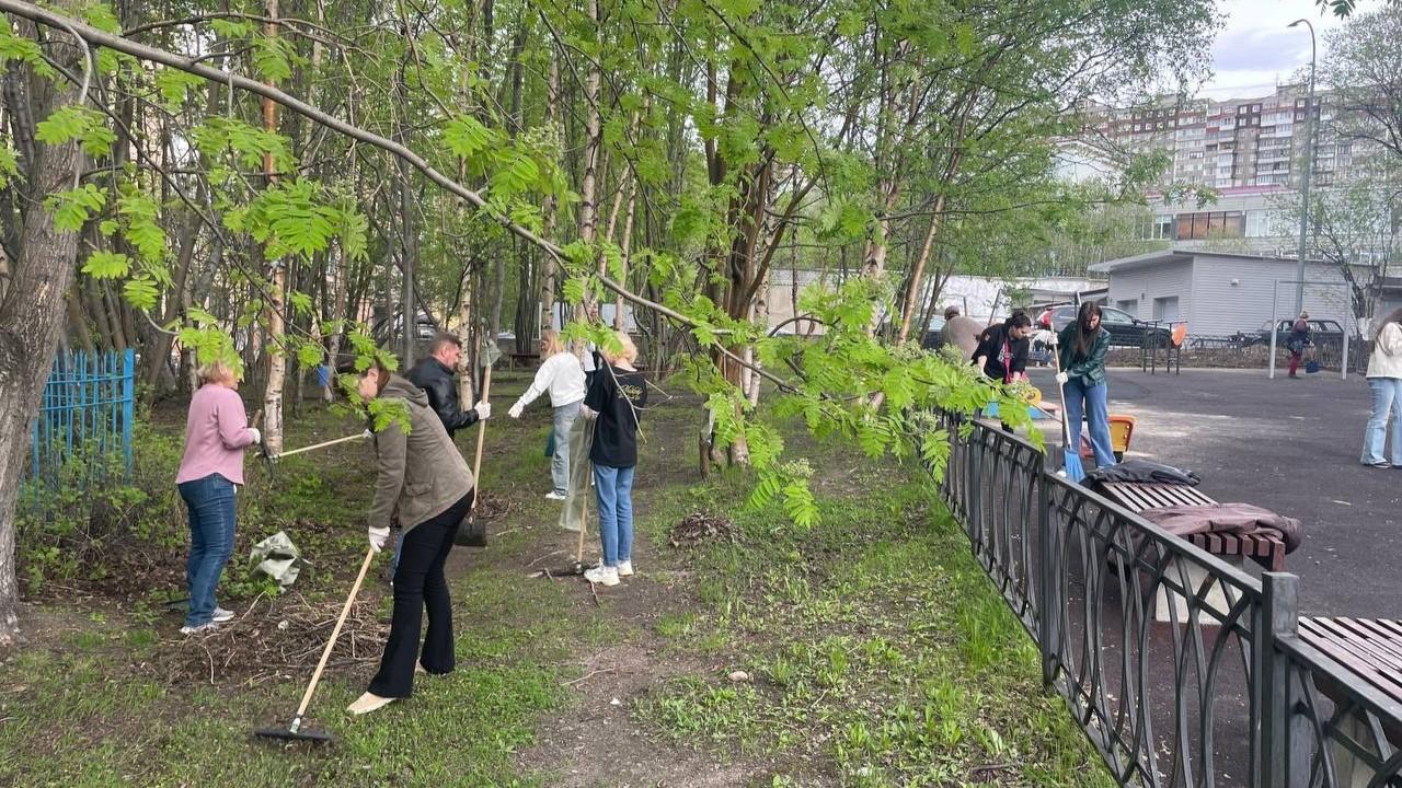 &quot;Зеленая Весна&quot;: жители Мурманской области прибрали 2,5 тысячи гектаров территории