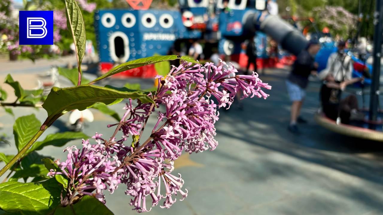 Воздух в Мурманской области 18 июля прогреется до плюс 32 градусов