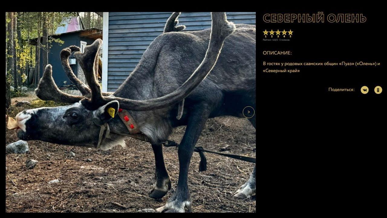 Фотографов из Мурманской области приглашают к участию в международном конкурсе &quot;Русская цивилизация&quot;