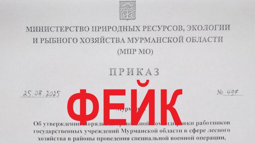 Оперштаб: приказ о мобилизации лесников Мурманской области – фейк