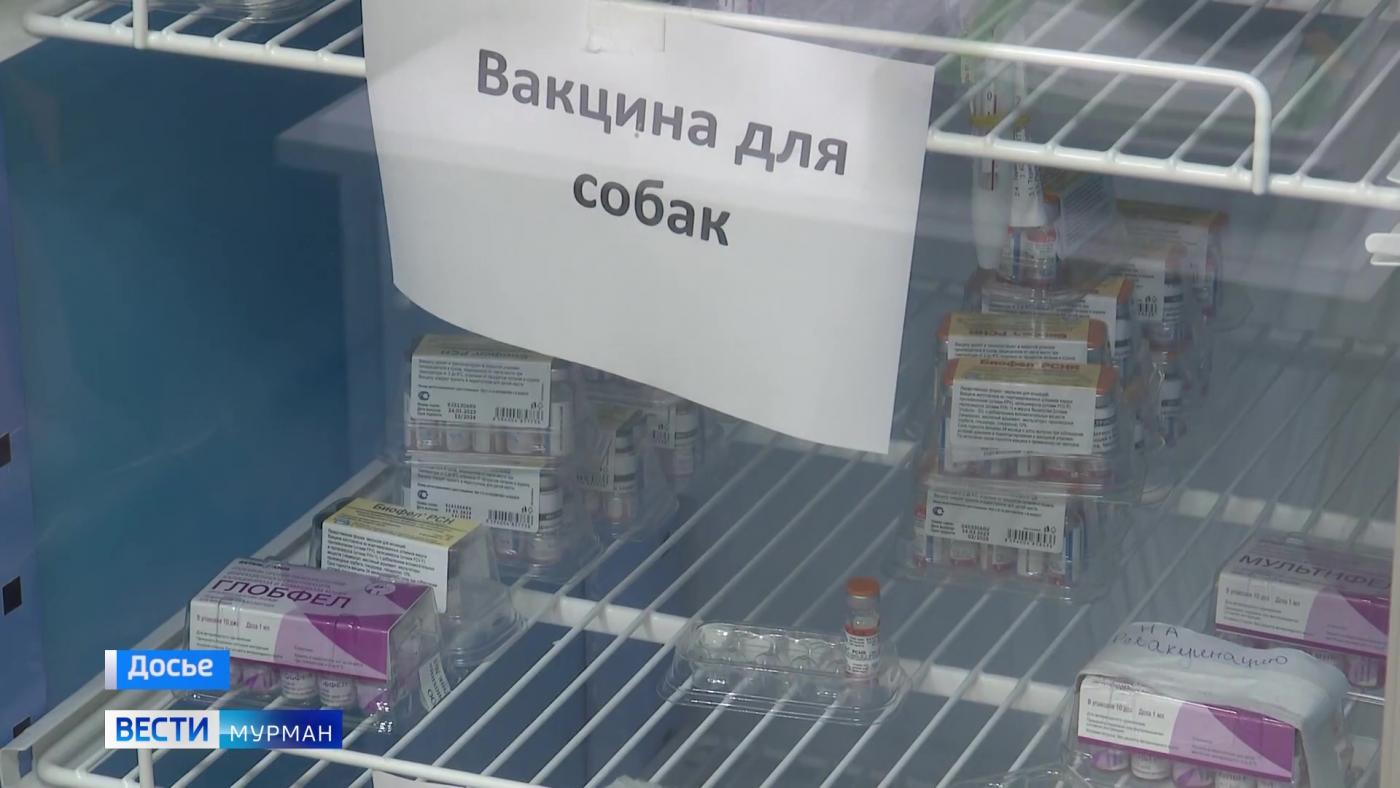 В Заполярные ветстанции закупят комплексные препараты по борьбе с болезнями животных 