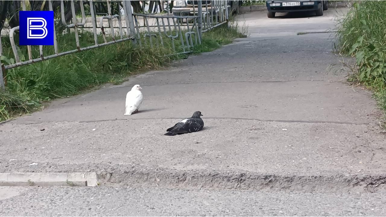 В Мурманской области 12 августа будет по-летнему тепло