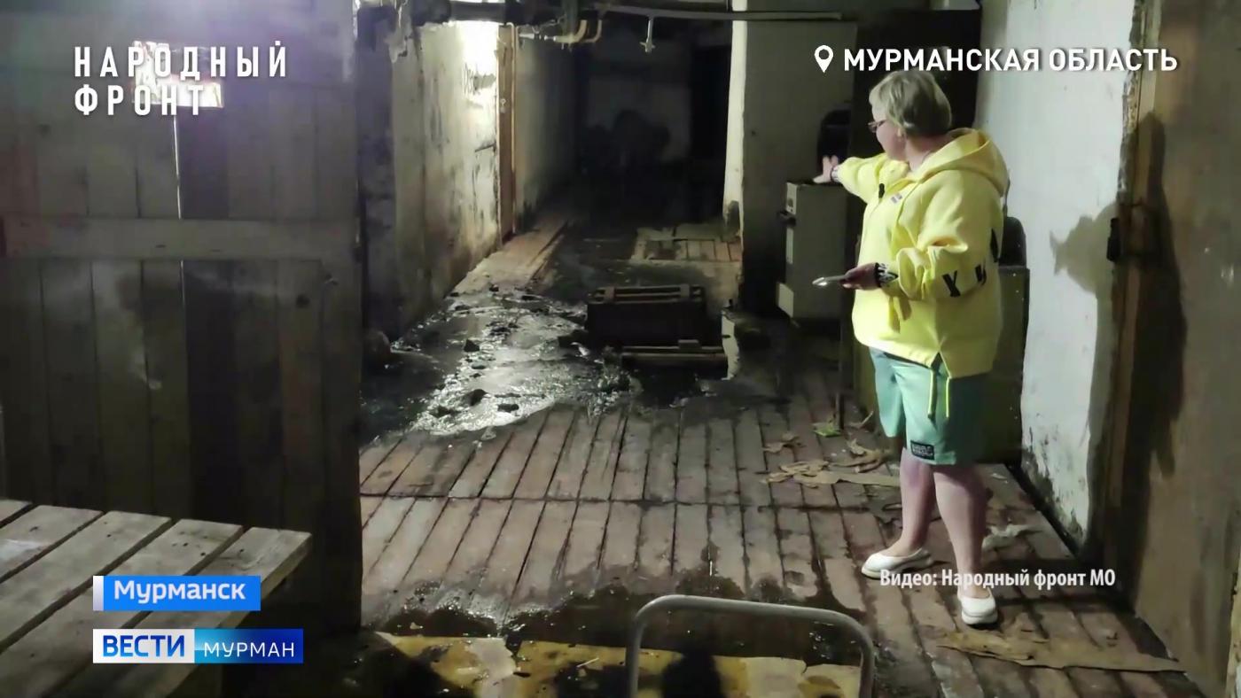 &quot;Болото&quot; в подвале и дырявые стены годами беспокоят мурманчан в домах на Героев Рыбачьего
