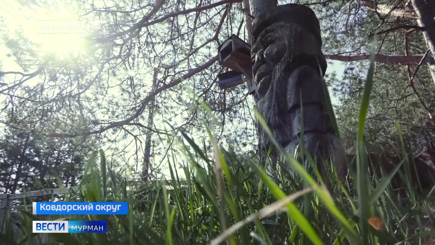 Легенды Гипербореи: остатки древней цивилизации в Мурманской области