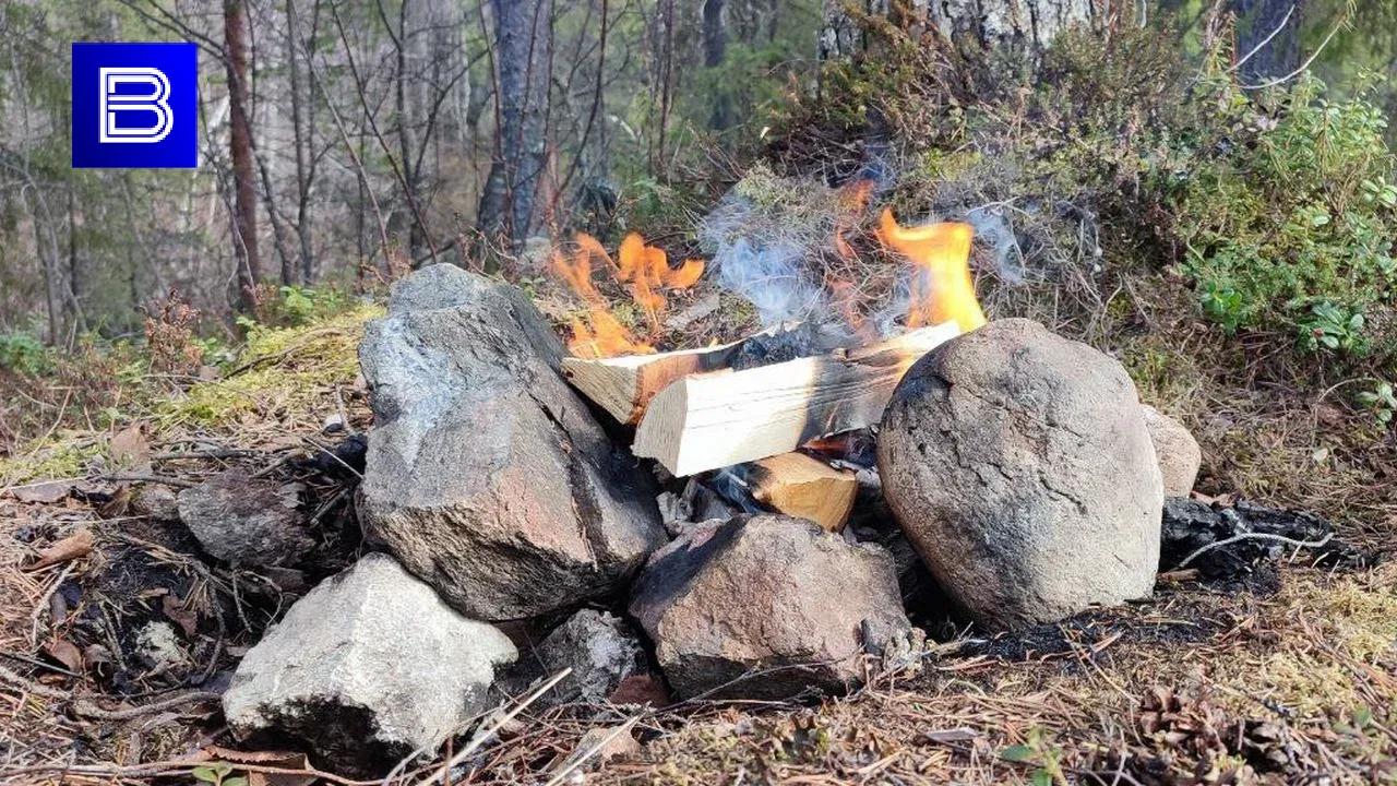 В некоторых районах Мурманской области ожидаются высокие классы пожарной опасности