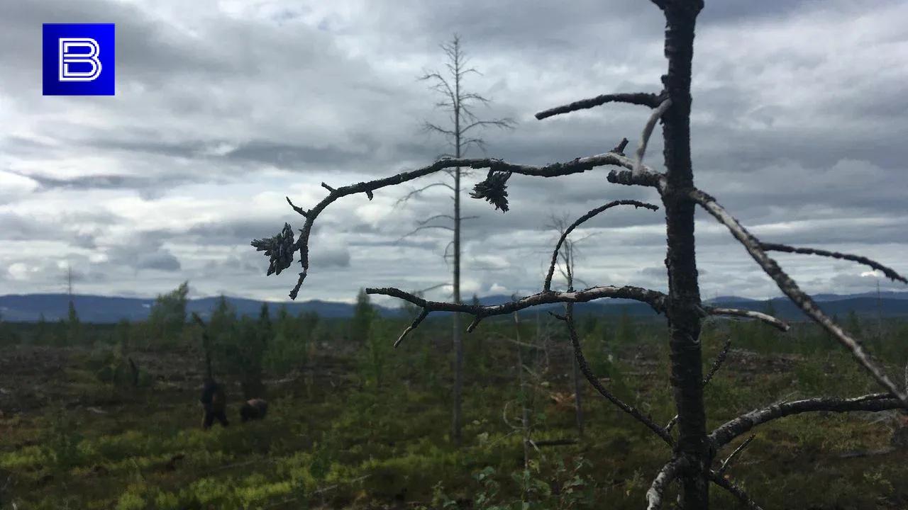 В Терском округе ожидается высокий класс пожарной опасности