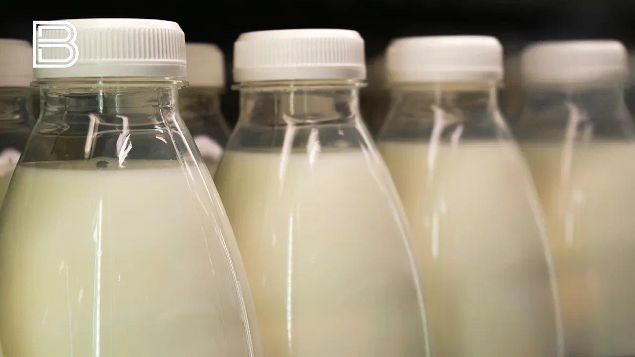 Более 700 кг молочной продукции с нарушениями изъяли из оборота в Мурманской области 