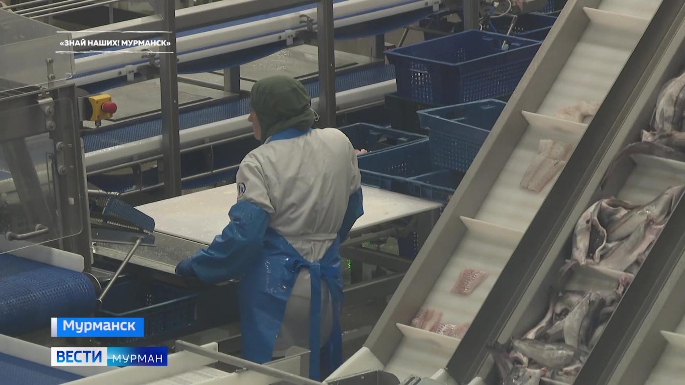 Производство съедобных брендов в Мурманской области: отправимся на рыбную фабрику