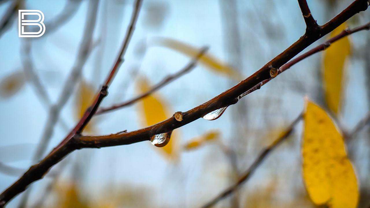 Прогноз погоды в Мурманской области на 31 октября