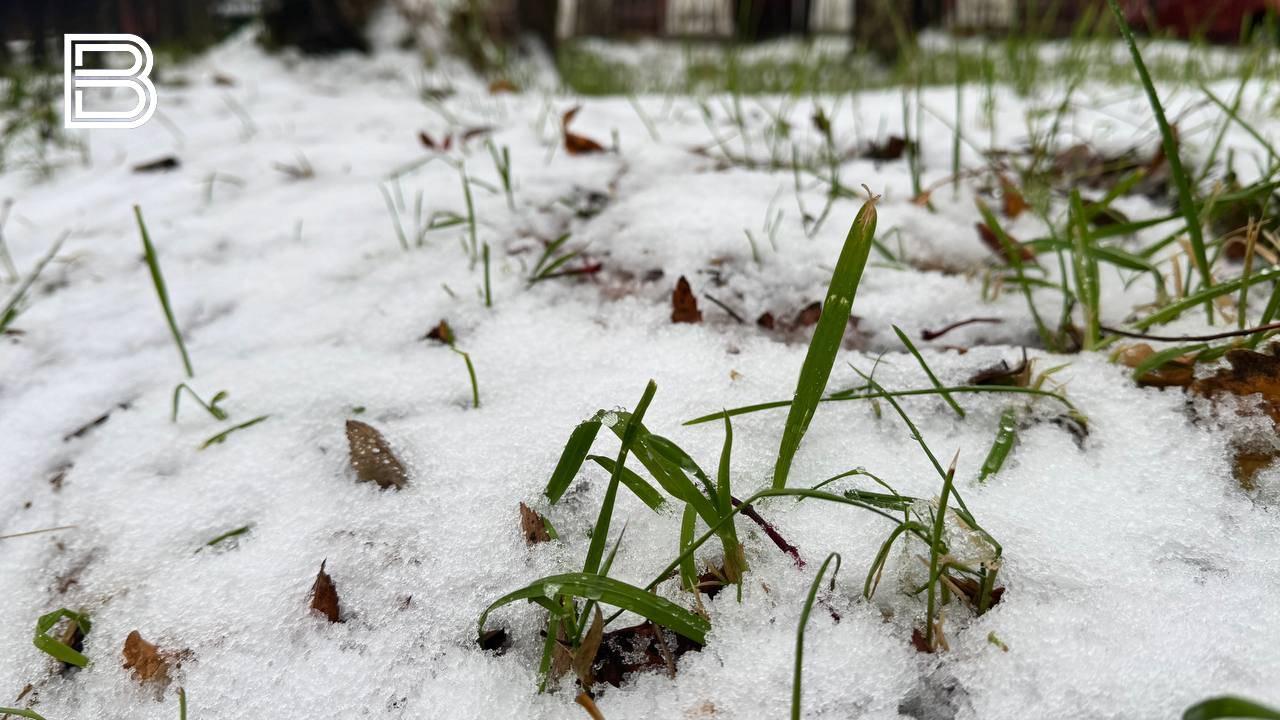 В Мурманской области 1 ноября пройдет снег