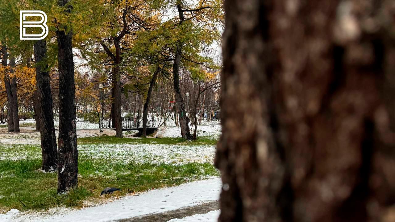 Прогноз погоды по Мурманской области на 9 ноября