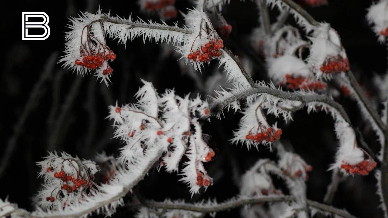 Прогноз погоды по Мурманской области на 13 ноября 