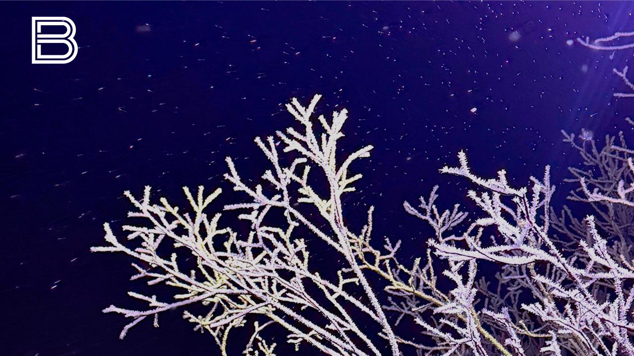 Метель и гололедица ожидаются в Мурманской области 14 ноября