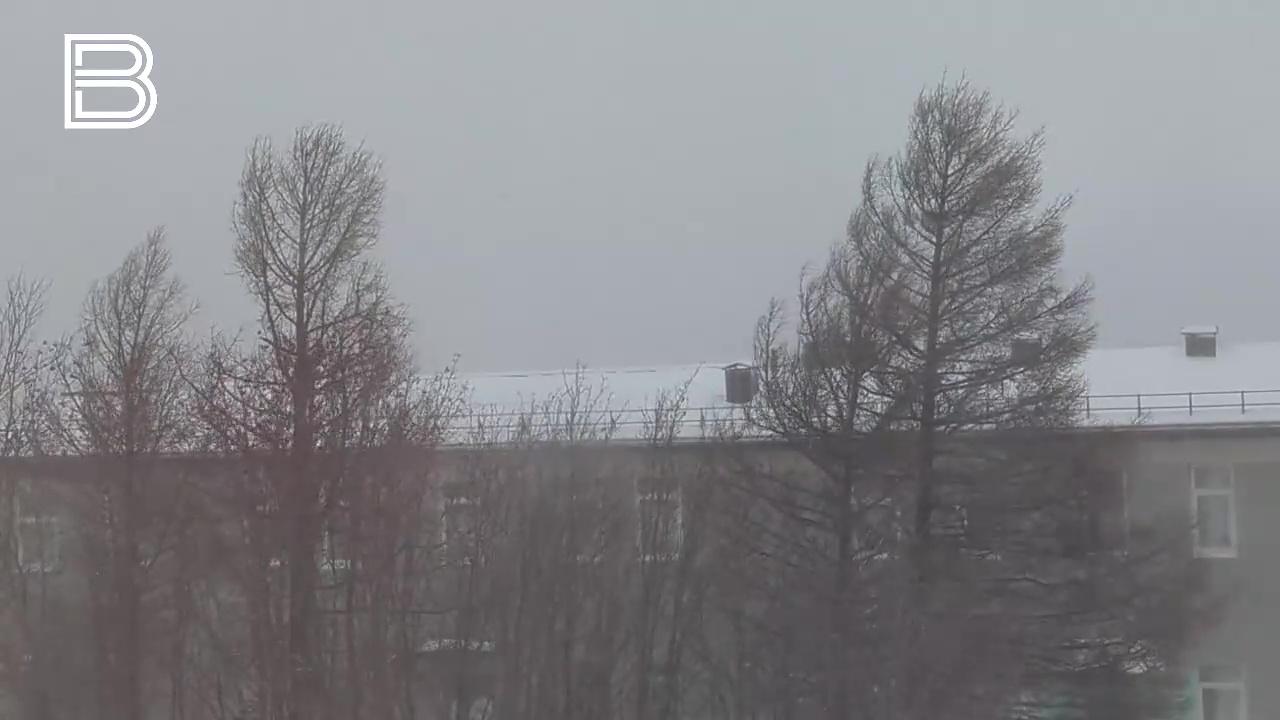 Мурманск заметает снегом