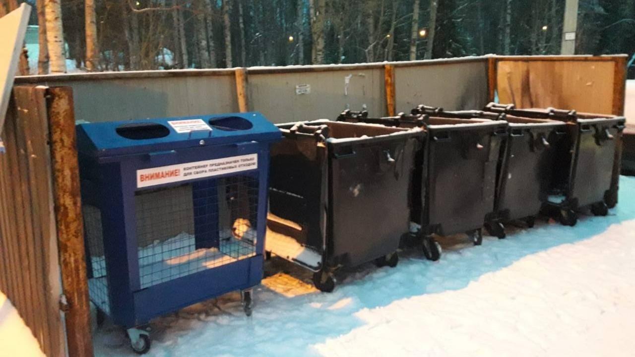 График вывоза мусора сорван в ряде городов Мурманской области из-за метели