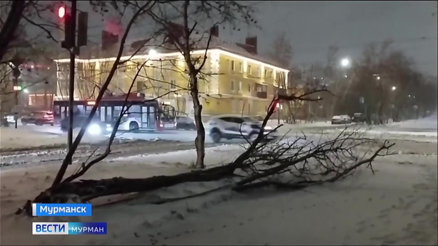 Упавшие деревья, искры над головой. Мурманская область под натиском метели