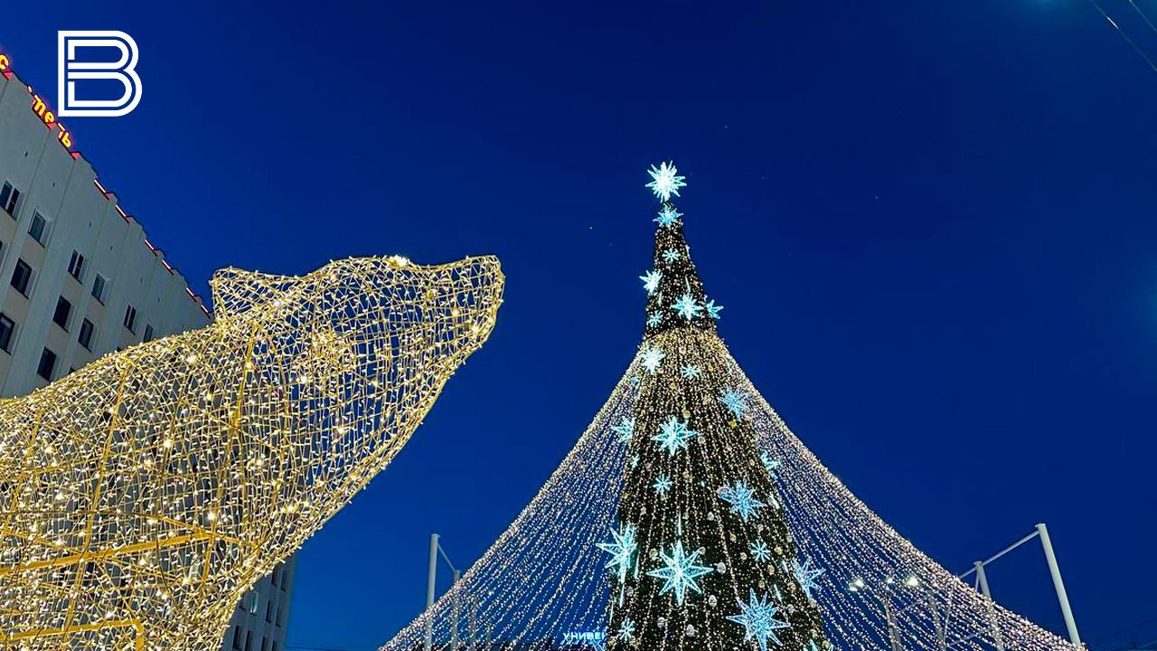 В Мурманске зажгли огни на главной новогодней красавице Кольского Заполярья