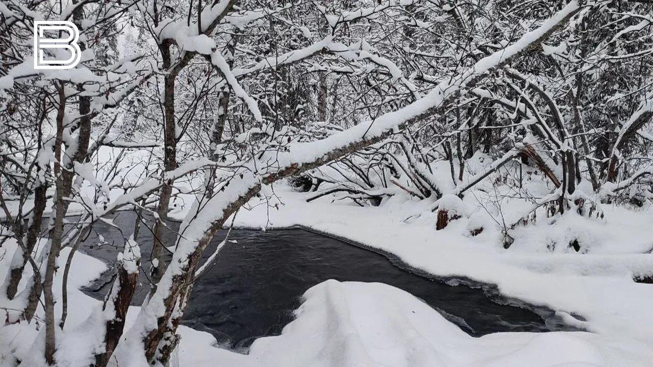 Прогноз погоды по Мурманской области на 18 ноября