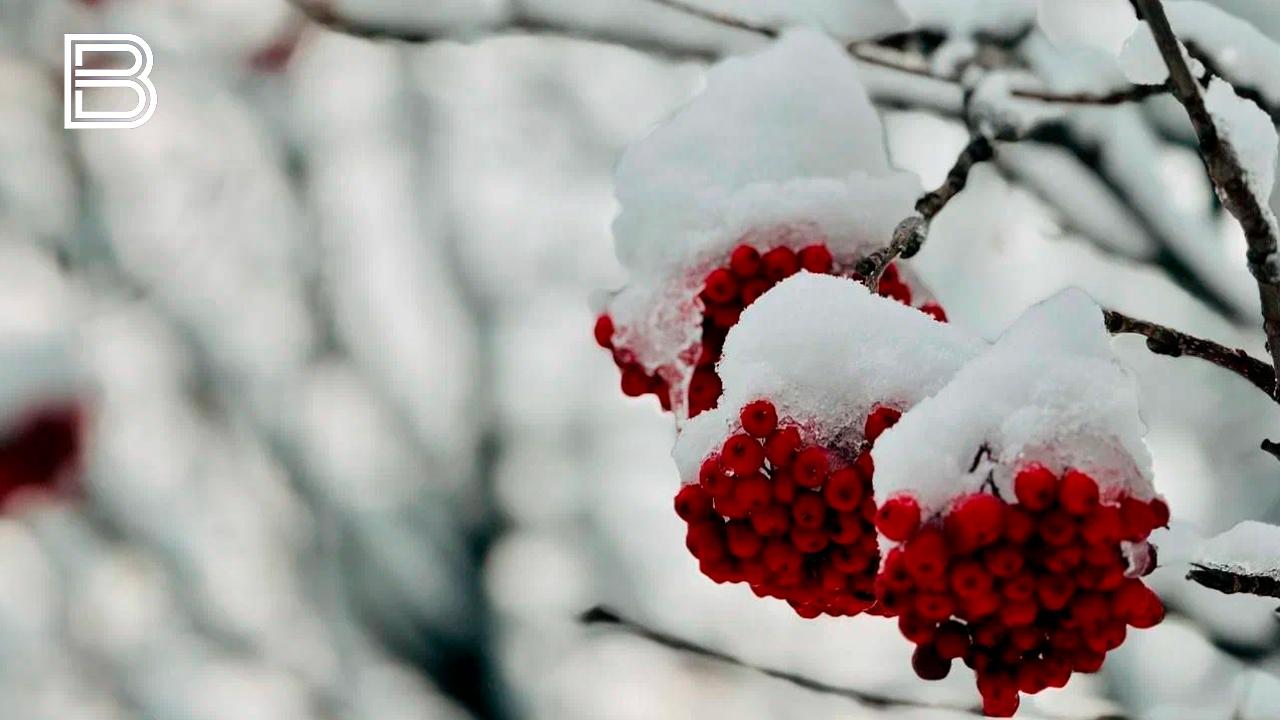 Прогноз погоды по Мурманской области на 21 ноября
