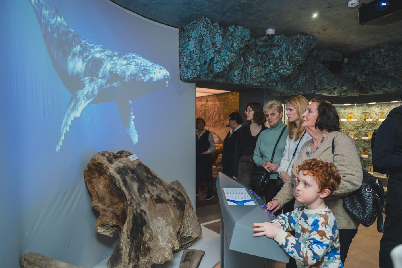 В Мурманской области запустят бесплатные экскурсии для северян 