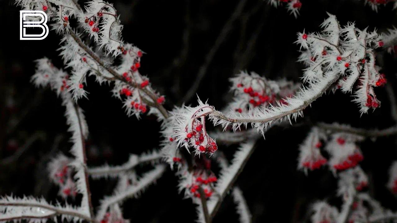Выходные в Мурманской области будут морозными