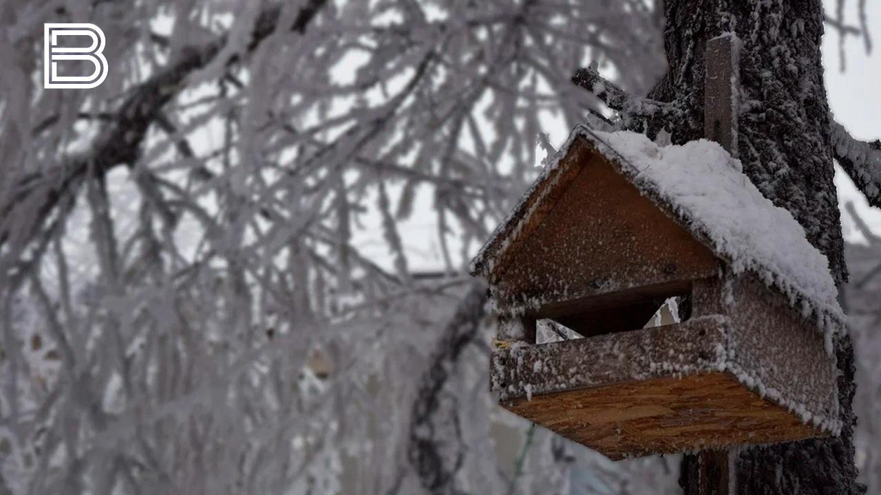 В Мурманской области 23 ноября будет морозно