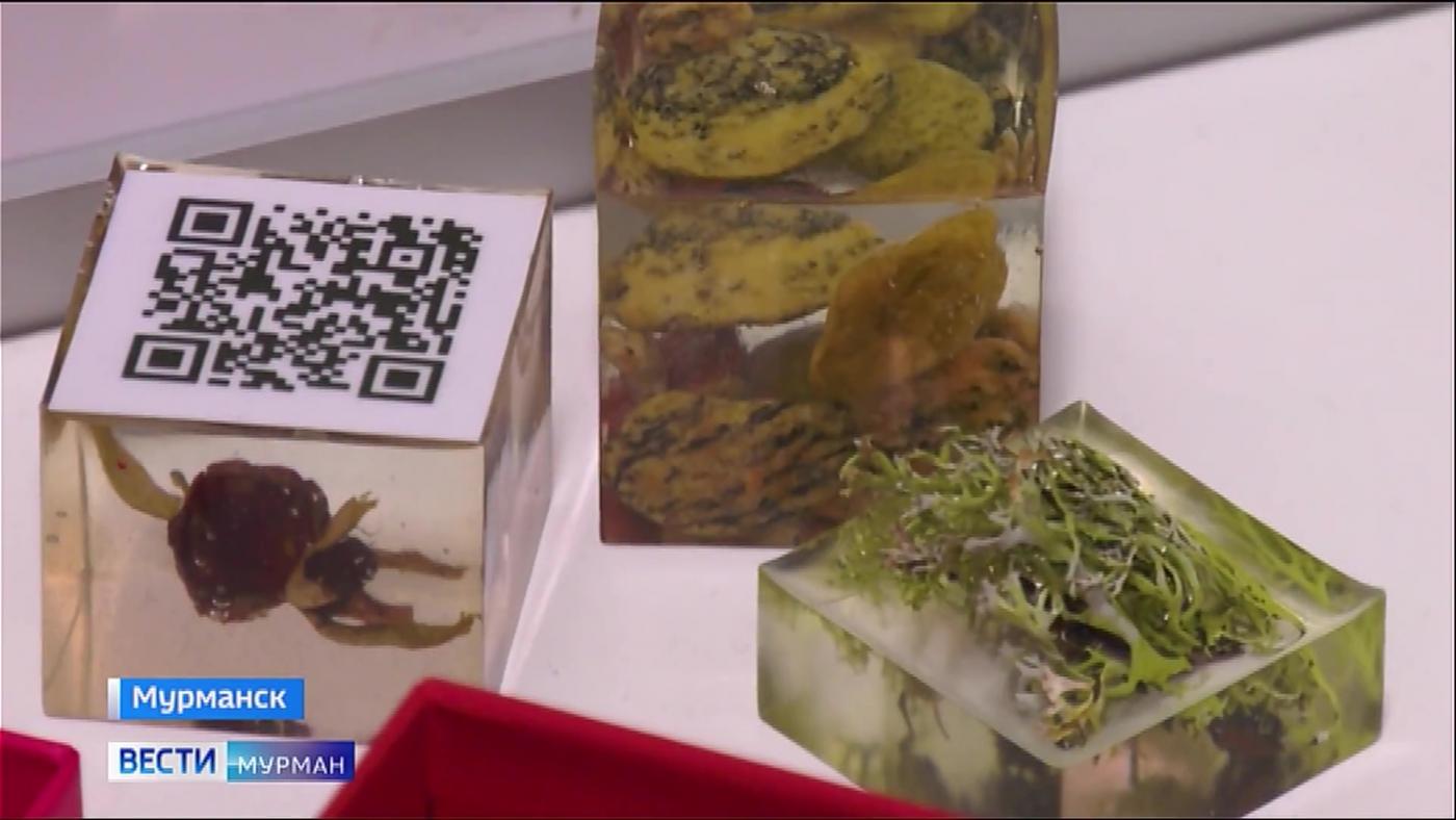 Юных ученых Заполярья и России собрал в Мурманске научный форум "Шаг в будущее"